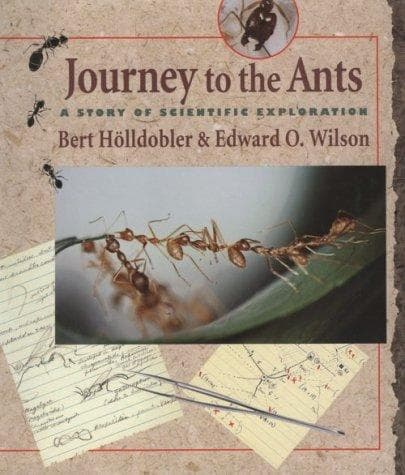 Journey to the Ants by Bert Hölldobler & Edward O. Wilson